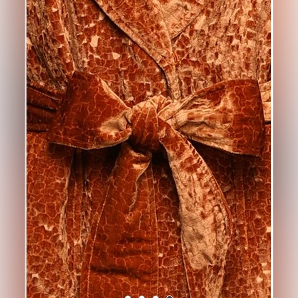 L' AUTRE CHOSE Italian
Blazer in rich Orange color, pressed velvet sz 12 - Picture 4 of 4